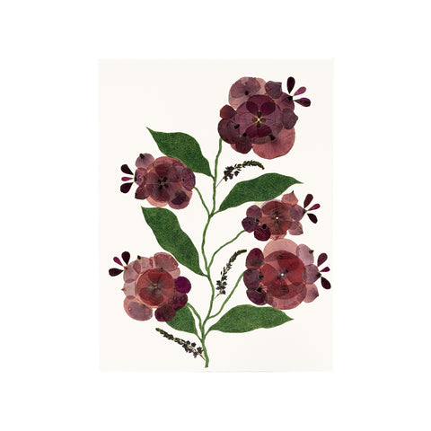 Marian McEvoy, Collage of Poppies and Mallows with Pen and Ink Leaves and Stems