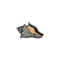 Mark Gagnon, Seashell