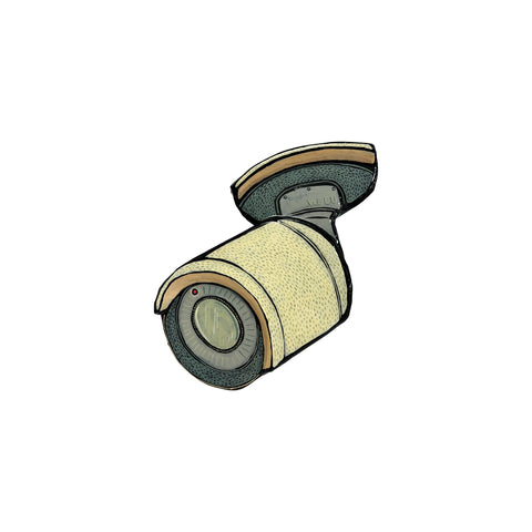 Mark Gagnon, Surveillance Camera