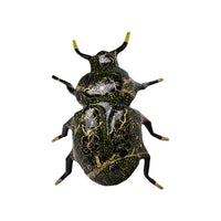 Mark Gagnon, Papier Mache Beetle