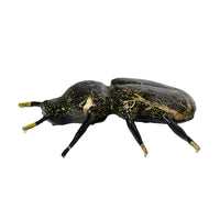 Mark Gagnon, Papier Mache Beetle
