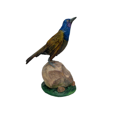 Mark Gagnon, Papier Mache Grackle on Rock