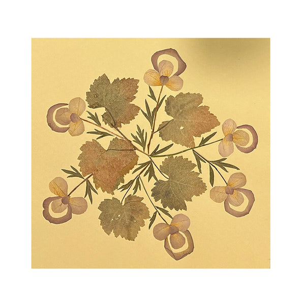 Marian McEvoy, Grape Leaves and Tendrils with Rose Petals and Fuchsias Collage