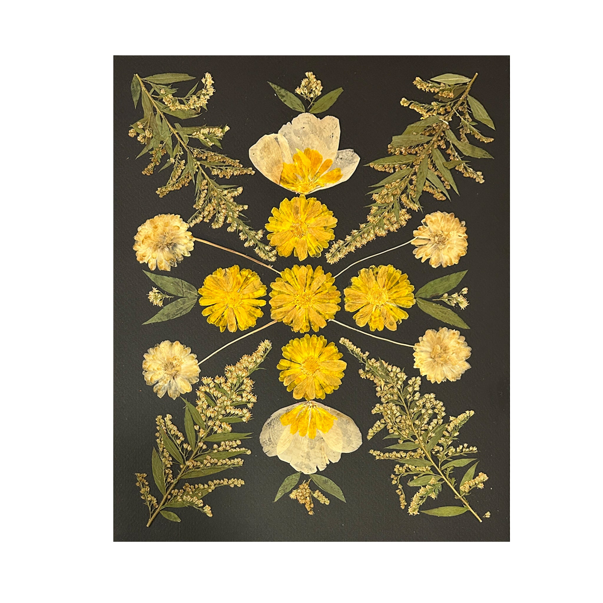 Marian McEvoy, Marigolds, Hibiscus Petals and Goldenrod Collage