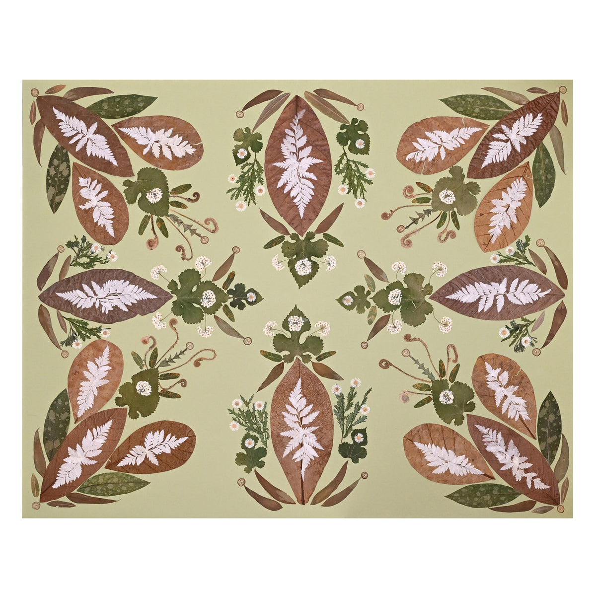 Marian McEvoy, Collage of Indian Almond Leaf, Catalpa, Lung Wort, Eucalyptus, Mulberry, Dandelion, Fiddlehead Fern, Mini Daisies, Spirea and Waterlily Stem