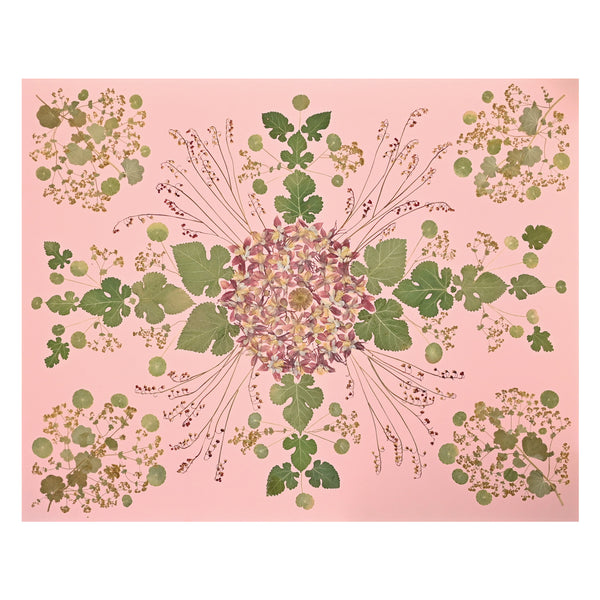 Marian McEvoy, Collage of Ladies Mantle, Mulberry Leaves, Coral Bells and Nasturtium