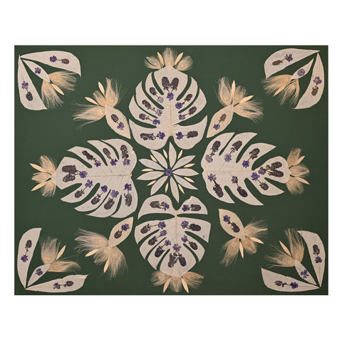 Marian McEvoy, Collage of Lilac, Bleached Peacock and Bleached Monsterea