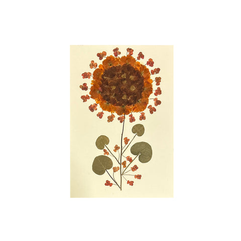 Marian McEvoy, Marigolds, Gerbera, and Mini Pansies with Saxifrage Leaves Collage