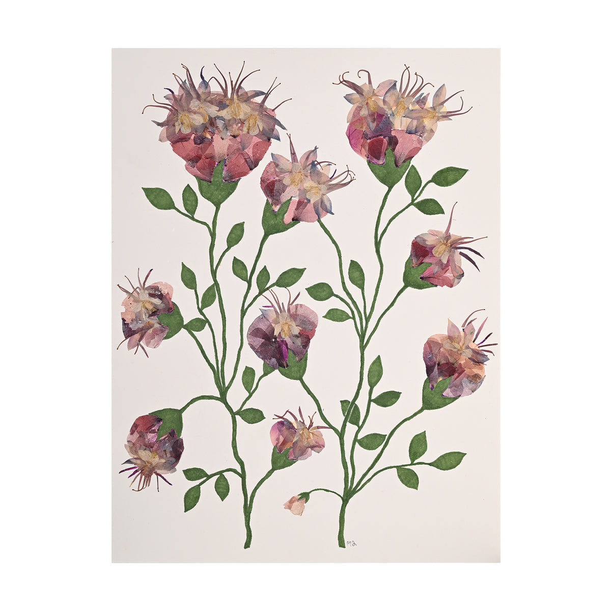 Marian McEvoy, Collage of Pen and Ink Leaves and Stems and Columbine Flowers