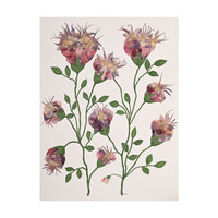 Marian McEvoy, Collage of Pen and Ink Leaves and Stems and Columbine Flowers