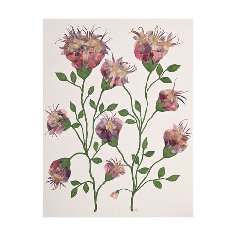 Marian McEvoy, Collage of Pen and Ink Leaves and Stems and Columbine Flowers
