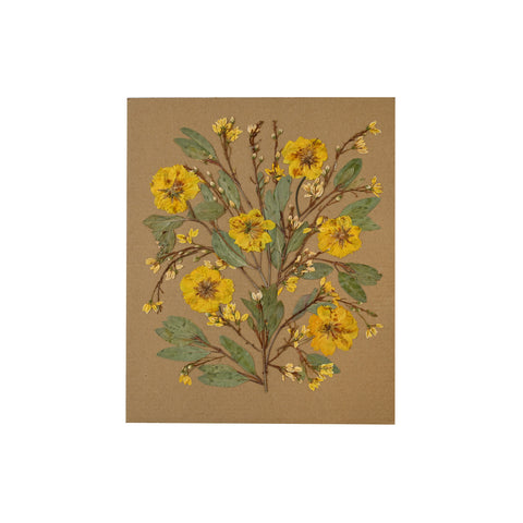 Marian McEvoy, Collage of Marigolds and Cosmos on Cardboard Background
