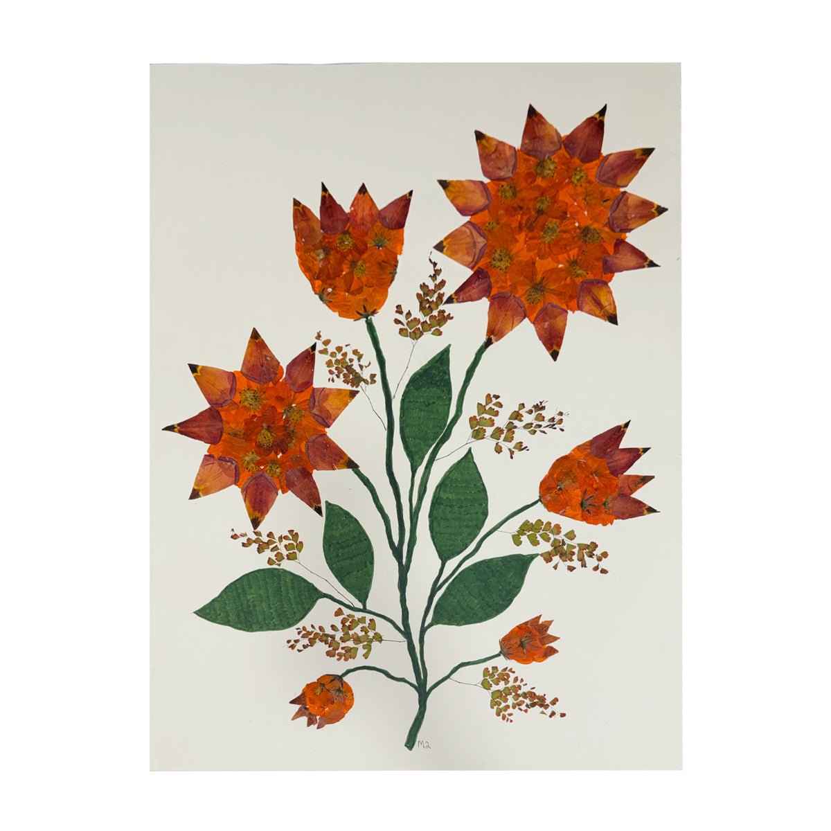 Marian McEvoy, Collage of Cosmos and Tulip Petals, Maiden Hair Fern and Ink Drawn Stems and Leaves