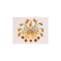 Marian McEvoy, Collage of Coreopsis, Daffodils, Daisies and Sunflower Petals
