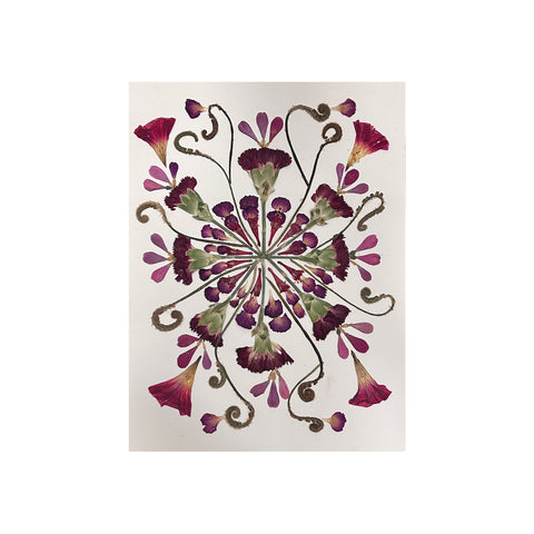 Marian McEvoy, Collage of Fiddlehead Fern with Morning Glory and Gerbera Petals II