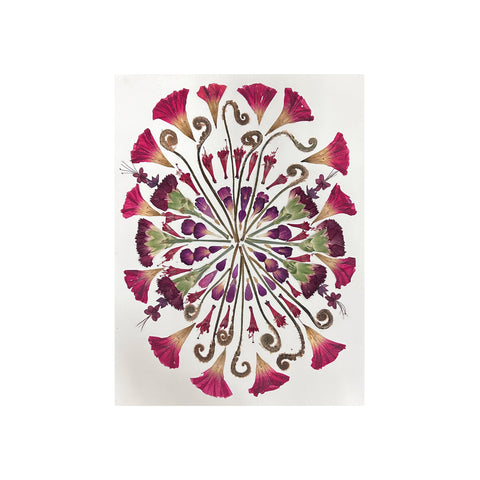 Marian McEvoy, Collage of Fiddlehead Fern with Morning Glory and Gerbera Petals I