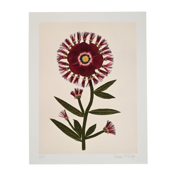 Marian McEvoy, Unframed Limited-Edition Print