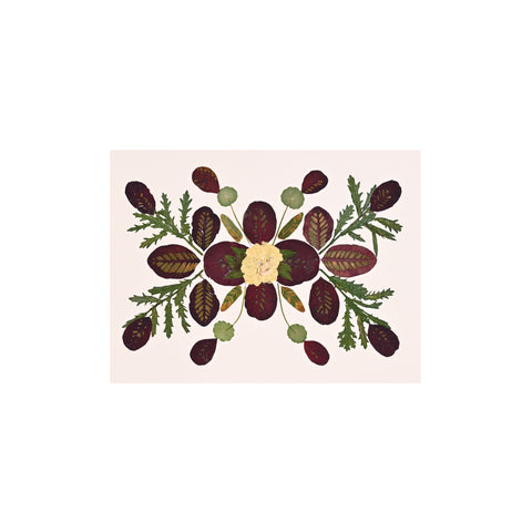 Marian McEvoy, Collage of Hydrangea, Fern Leaves, Catalpa Leaves and Chrysanthemum Leaves