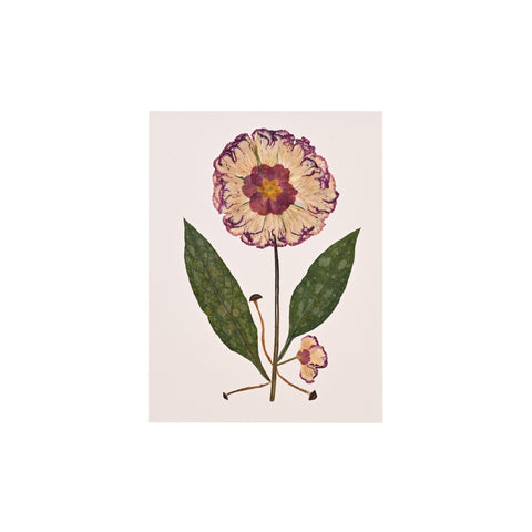 Marian McEvoy, Collage of Lungwort Leaves, Carnation Petals, Primrose and Mini Mushrooms