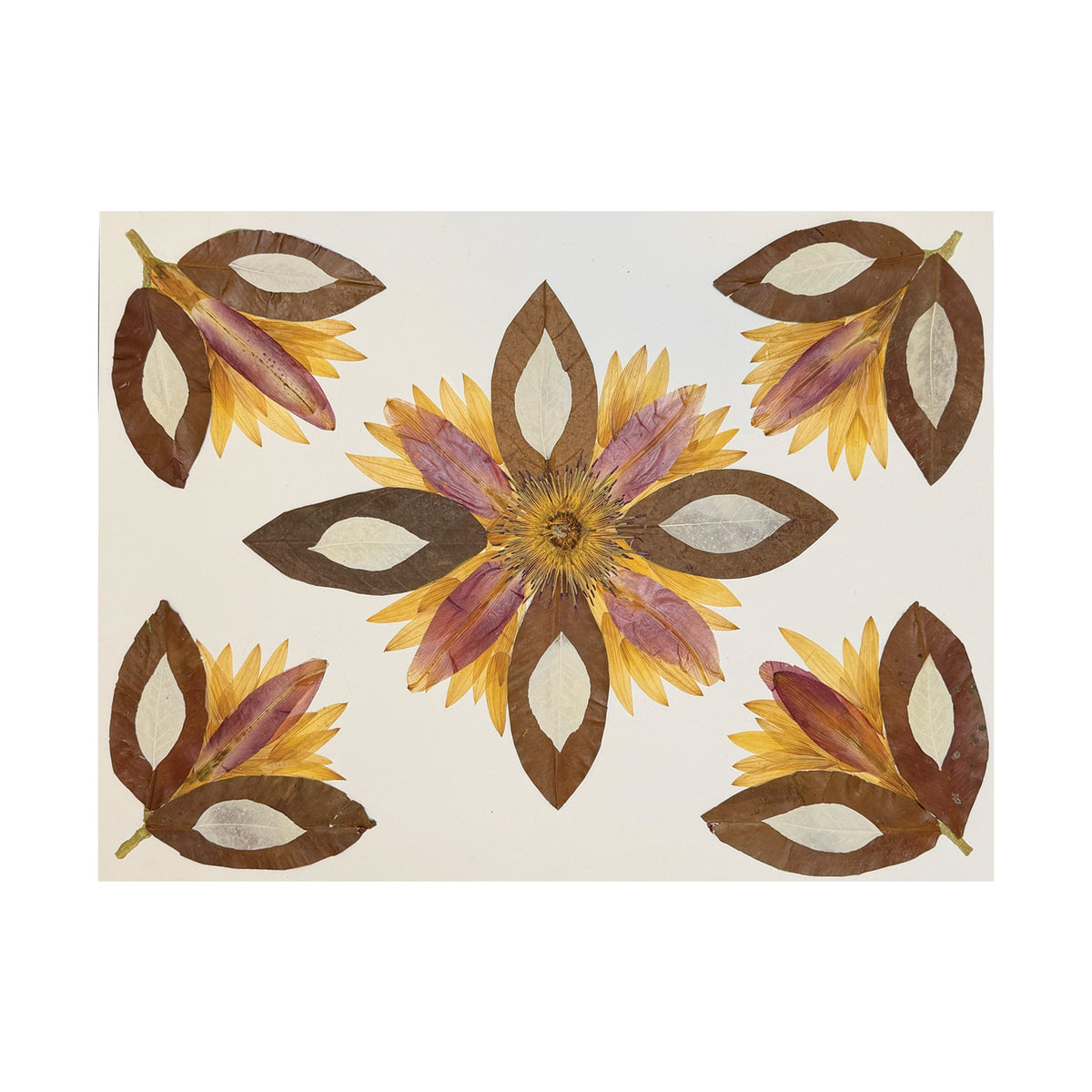 Marian McEvoy, Collage of Magnolia Leaves, Bleached Leaves, Sunflower and Lily Petals and Waterlily