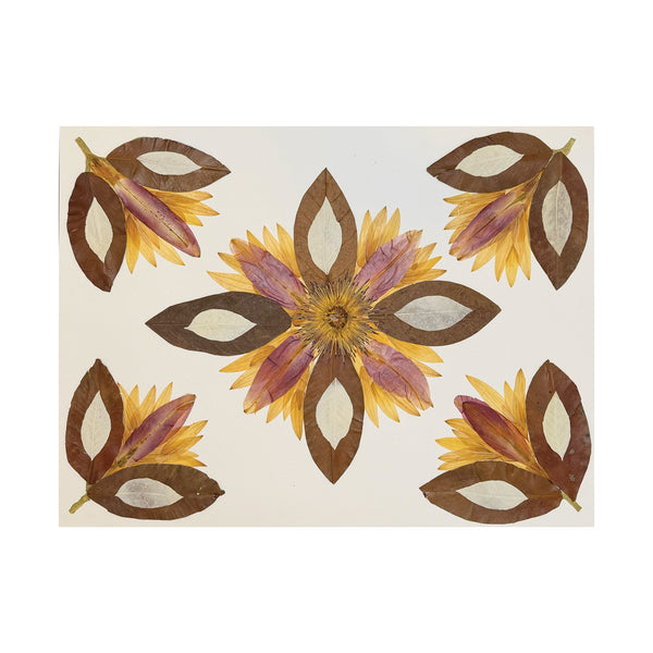 Marian McEvoy, Collage of Magnolia Leaves, Bleached Leaves, Sunflower and Lily Petals and Waterlily