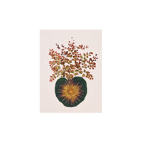 Marian McEvoy, Collage of Maiden Hair Fern, Waterlily and Catalpa Leaf