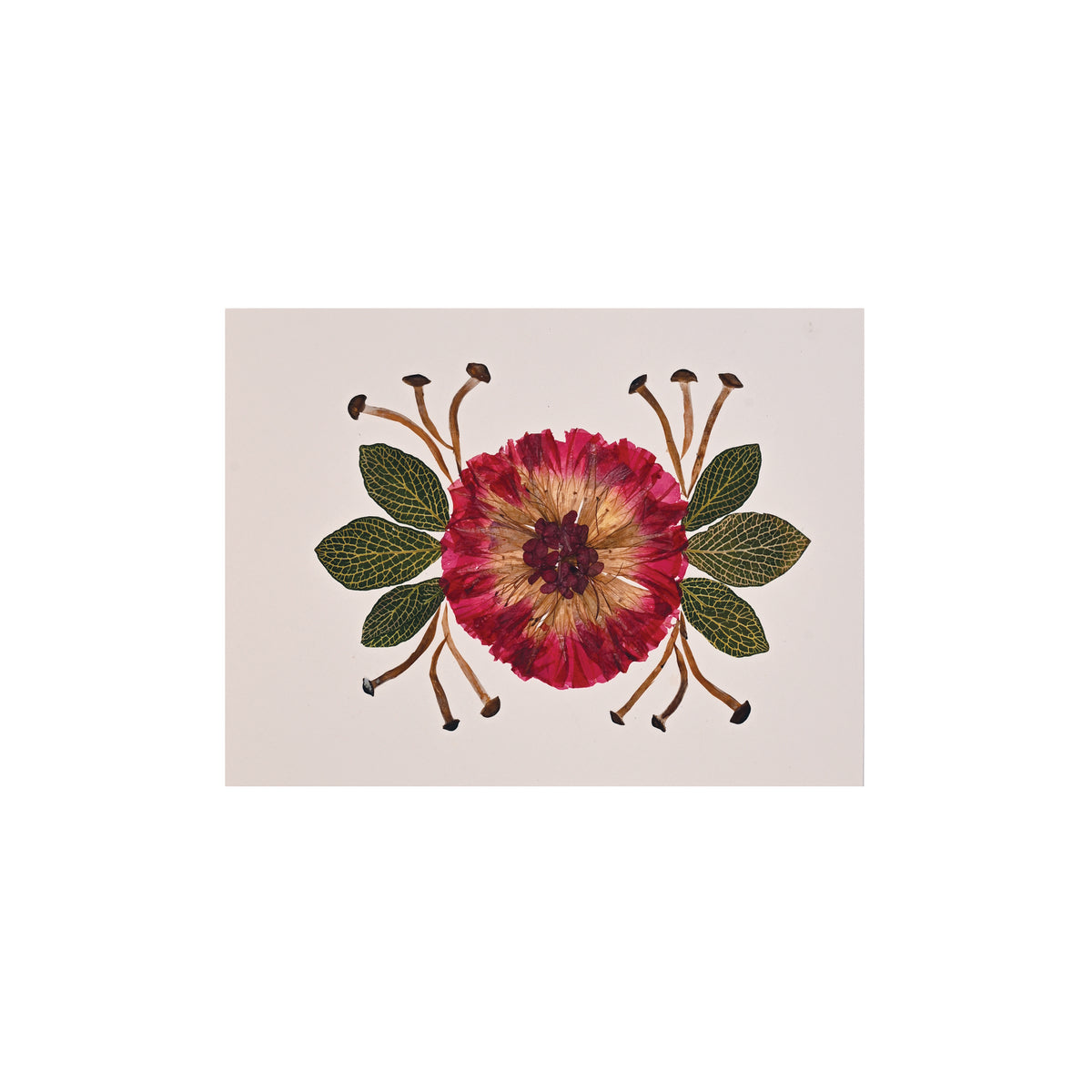 Marian McEvoy, Collage of Morning Glory, Mini Mushroom and Fittonia Leaves