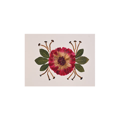 Marian McEvoy, Collage of Morning Glory, Mini Mushroom and Fittonia Leaves