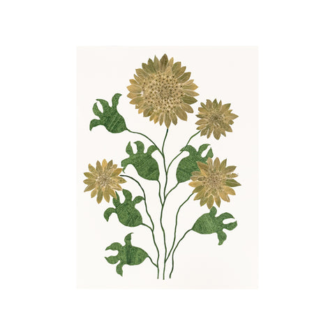 Marian McEvoy, Collage of Snow on the Mountain Leaves and Queen Anne's Lace with Pen and Ink Leaves and Stems