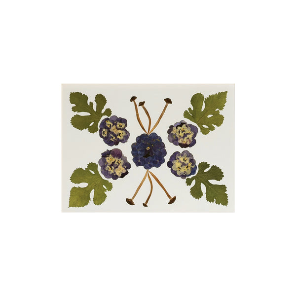 Marian McEvoy, Collage of Pansy, Primroses, Mulberry Leaves and Mini Mushroom