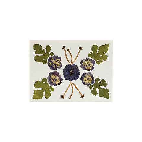 Marian McEvoy, Collage of Pansy, Primroses, Mulberry Leaves and Mini Mushroom