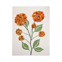 Marian McEvoy, Collage of Pen and Ink Leaves and Stems and Flowers Made of Pressed Marigold and Cosmos Flowers