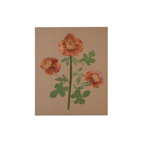 Marian McEvoy, Collage of Peonies and Mulberry Leaves on Cardboard Background