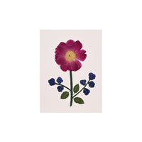 Marian McEvoy, Collage of Peony, Hydrangea and Holly Leaf