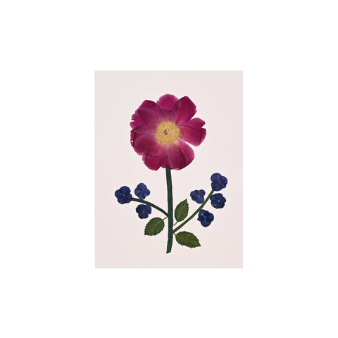 Marian McEvoy, Collage of Peony, Hydrangea and Holly Leaf