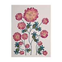 Marian McEvoy, Collage of Pen and Ink Leaves and Stems and Flowers Made of Peony Petals Leaves