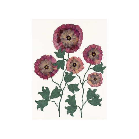 Marian McEvoy, Collage of Poppies, Hibiscus, Mallow and Primrose with Pen and Ink Leaves and Stems