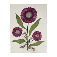 Marian McEvoy, Collage of Peony, Gladiola, Poppy Petals and Ink Drawn Stems and Leaves with Salvia and Lily Stems