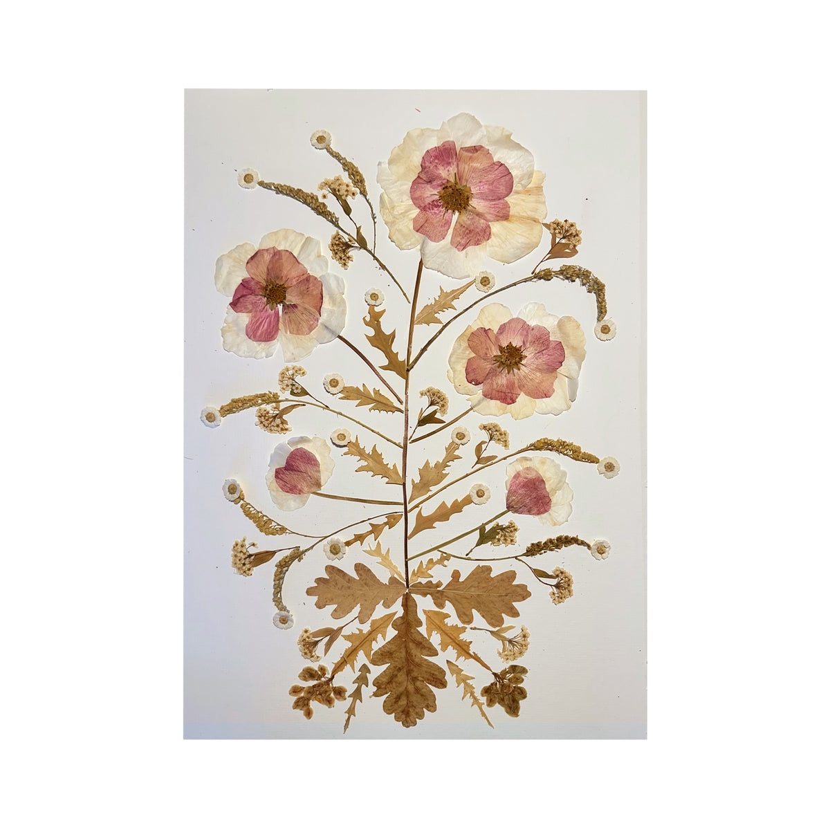 Marian McEvoy, Collage of Ranunculus, Salvia, Goldenrod and Mallow with Oak and Dandelion Leaves