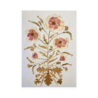 Marian McEvoy, Collage of Ranunculus, Salvia, Goldenrod and Mallow with Oak and Dandelion Leaves