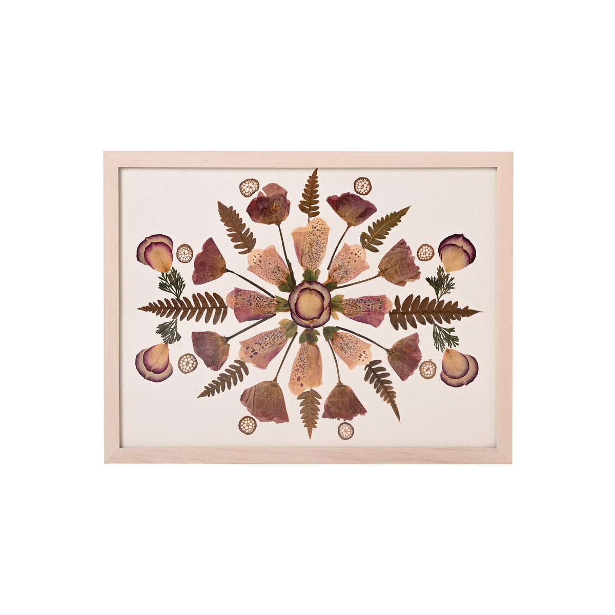 Marian McEvoy, Collage of Fern, Spruce, Rose Petal, Lotus Stem and Foxglove