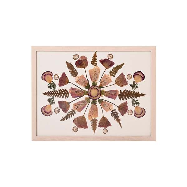 Marian McEvoy, Collage of Fern, Spruce, Rose Petal, Lotus Stem and Foxglove