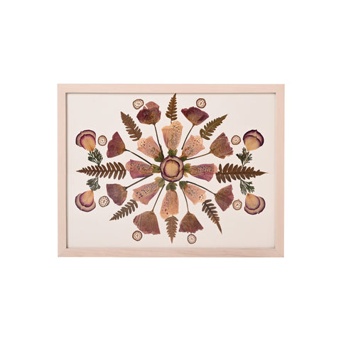 Marian McEvoy, Collage of Fern, Spruce, Rose Petal, Lotus Stem and Foxglove