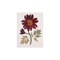 Marian McEvoy, Collage of Tulip Petals and Sweetroot Leaves