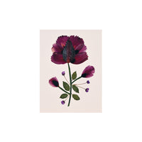 Marian McEvoy, Collage of Tulip and Lily Petals with Holly Leaf