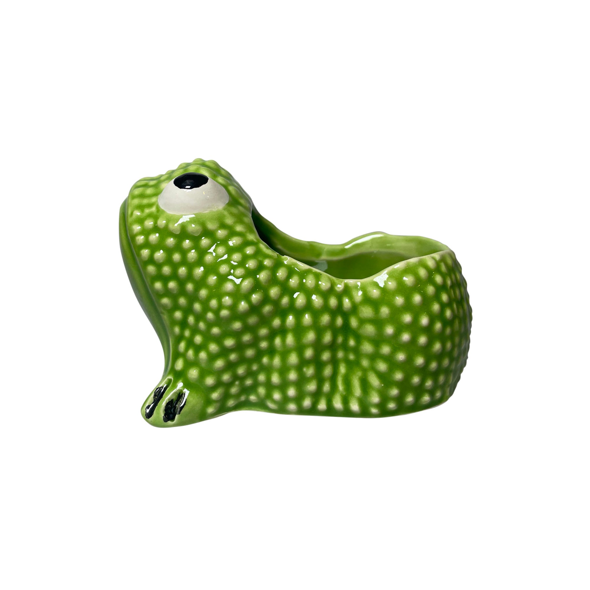 plastic frog planter Small Jean Roger Frog Planter – KRB