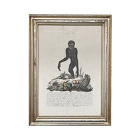 Pair of Early 19th Century Engravings of Monkeys