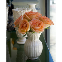 Frances Palmer, #2 Picasso Vase