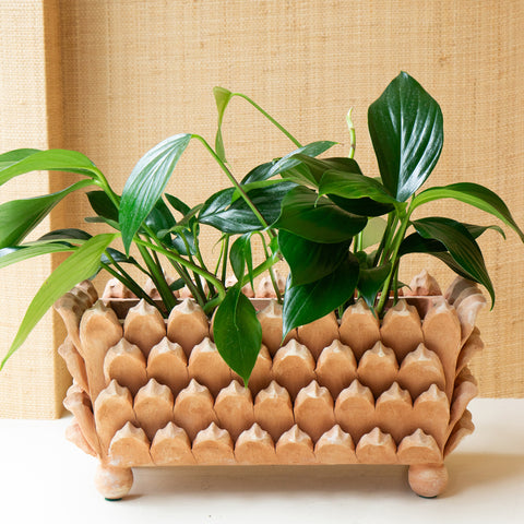 Jean Roger Terra Cotta Artichoke Planter