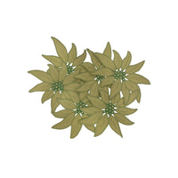 Set of Six Poinsettia Cocktail Napkins